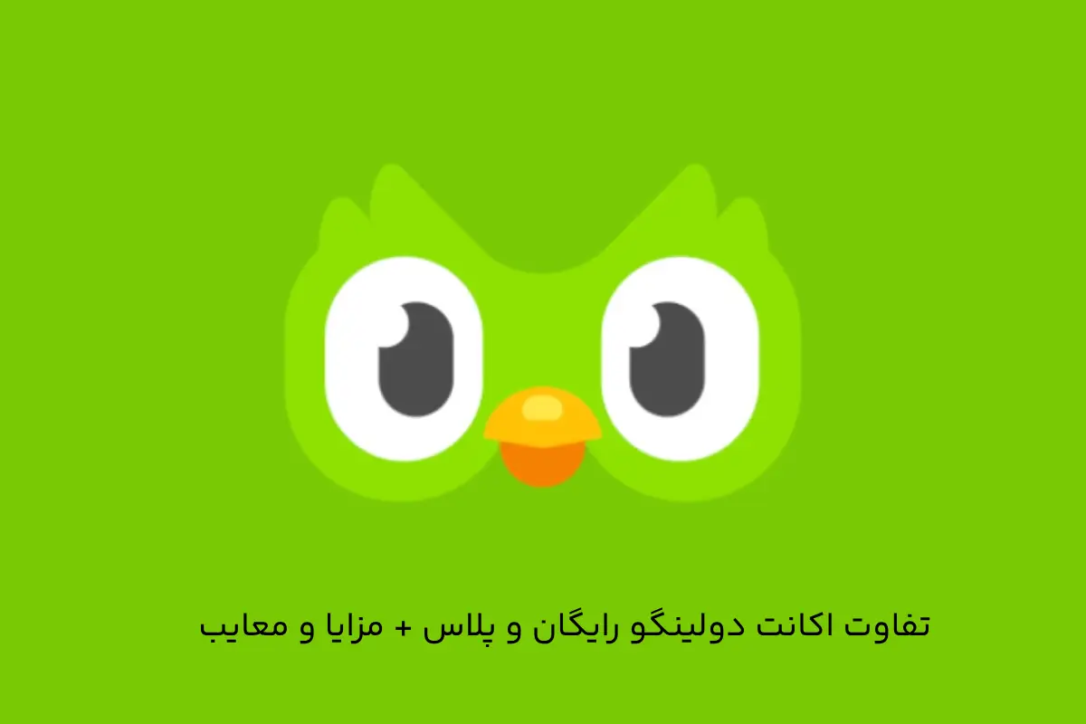 تفاوت اکانت دولینگو رایگان و پلاس + مزایا و معایب